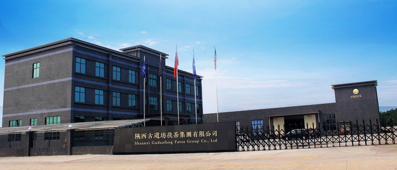 Κίνα Shaanxi Gudaofang Futea Group Co., Ltd. Εταιρικό Προφίλ