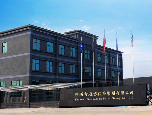 Κίνα Shaanxi Gudaofang Futea Group Co., Ltd. Εταιρικό Προφίλ